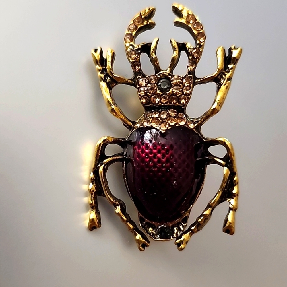 Beetle Bug BroochJust Amazing Must have not for the Girly Girl